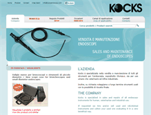 Tablet Screenshot of kocksendoscopy.com